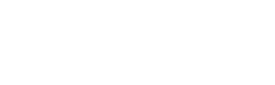 Super Mario Services – Illumidel Ontario
